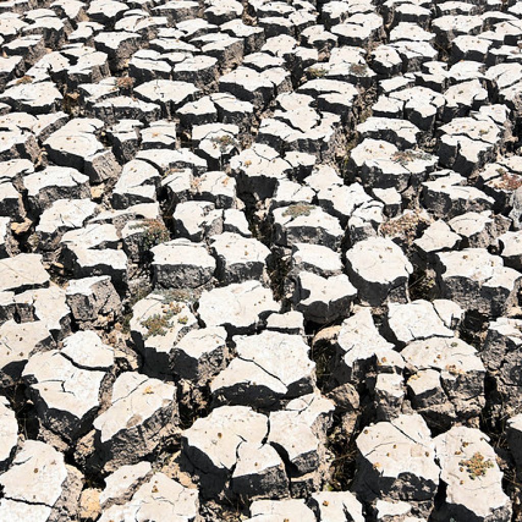 Greenpeace: “La realidad es abrumadora, es urgente acelerar la acción climática”