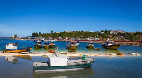 Piden prórroga para que pescadores artesanales puedan postular a bono pyme