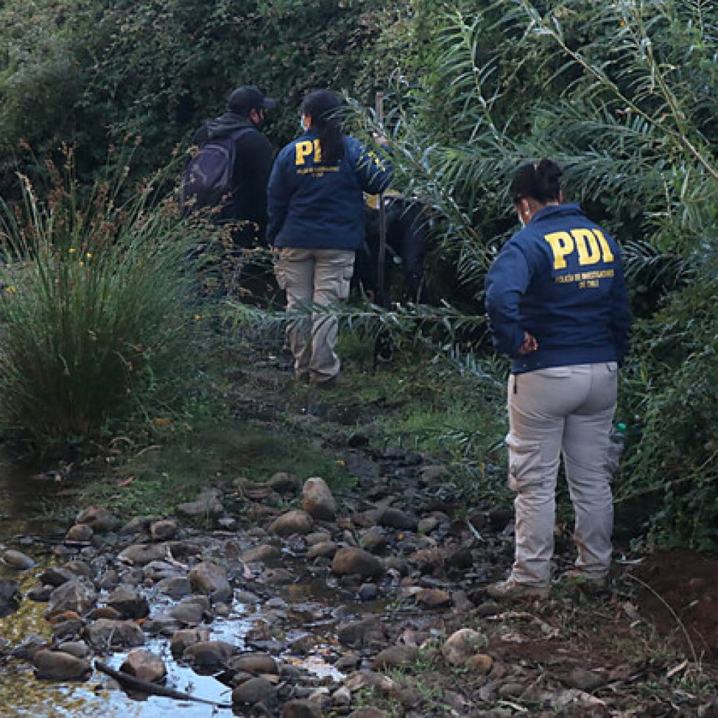 Tirúa: Adolescente habría sido baleada antes de ataque incendiario