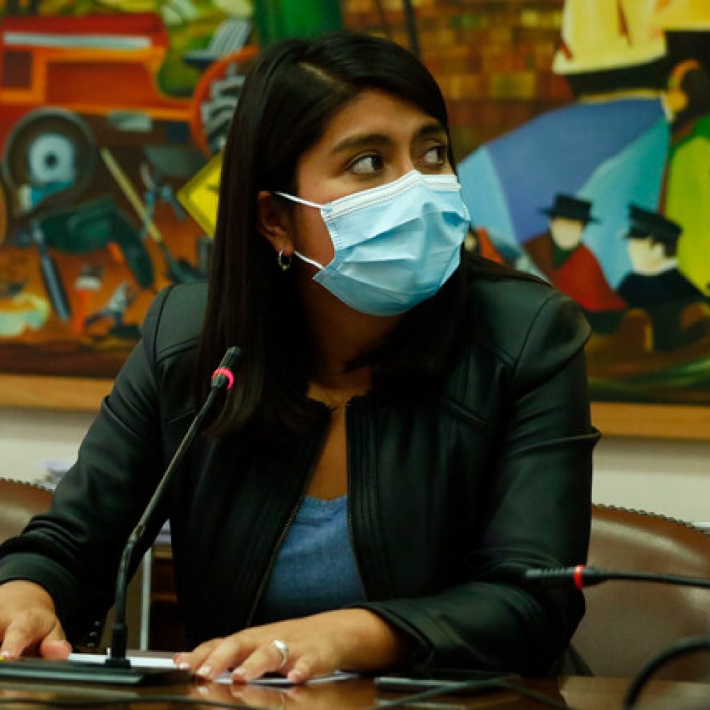 Diputada Camila Rojas criticó defensa del ministro de Educación