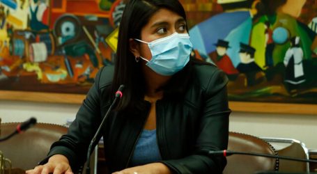 Diputada Camila Rojas criticó defensa del ministro de Educación