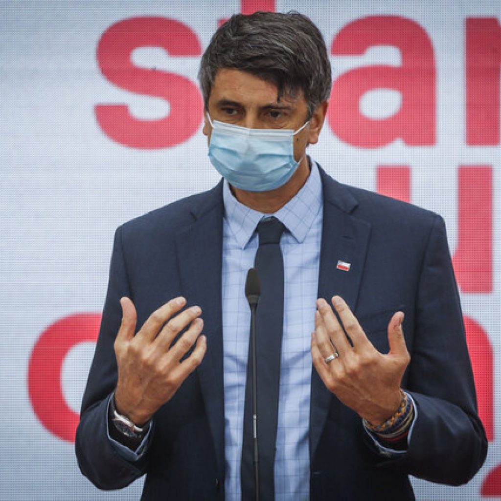 Couve destacó buenos resultados de efectividad de vacunas contra el Covid-19