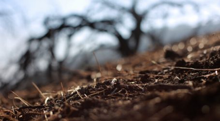 Coquimbo: Gobernadora solicita a Piñera concretar Decreto de Emergencia Agrícola