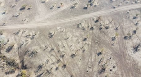 Amuch solicitó decreto de zona de catástrofe por sequía en 4 regiones