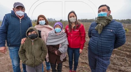 Evalúan declarar emergencia agrícola en toda la Región del Maule