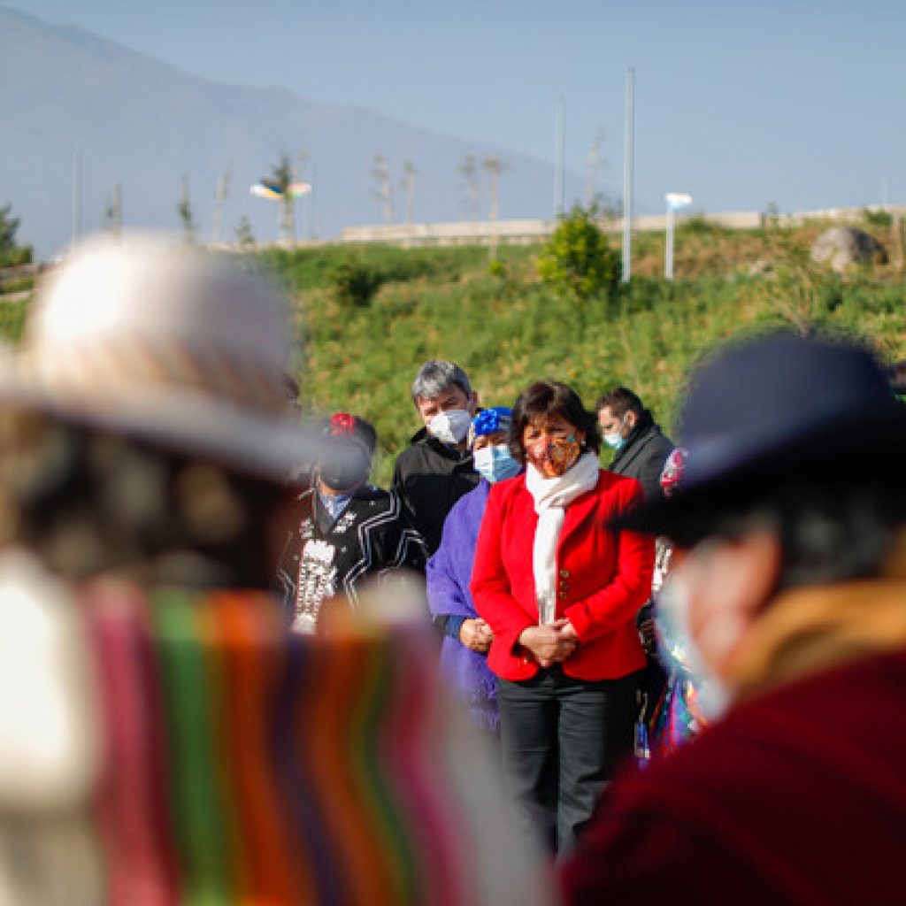 Yasna Provoste delineó propuestas en relación con pueblos originarios