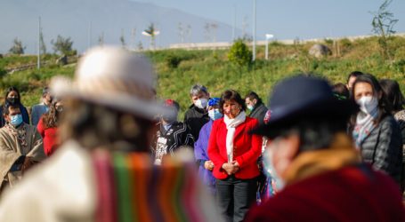 Yasna Provoste delineó propuestas en relación con pueblos originarios