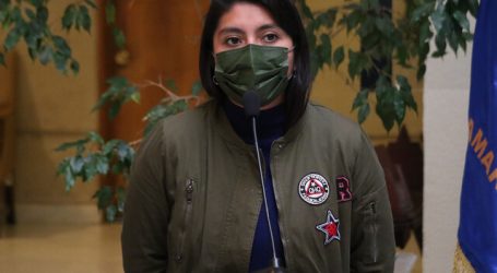 Comisión revisora rechazó acusación constitucional contra ministro Figueroa