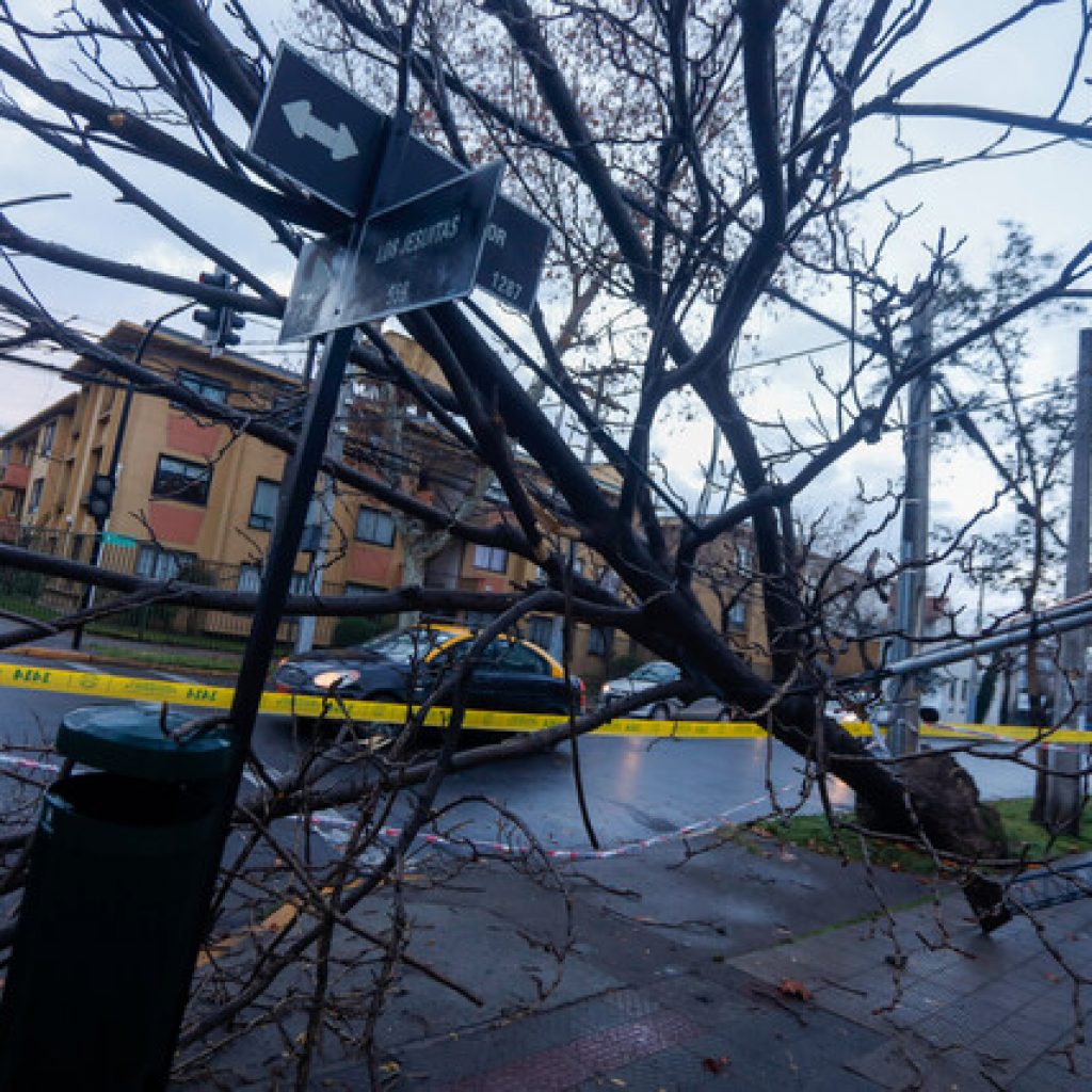 Sistema frontal dejó 51 damnificadas, 14 albergados y 11 evacuados