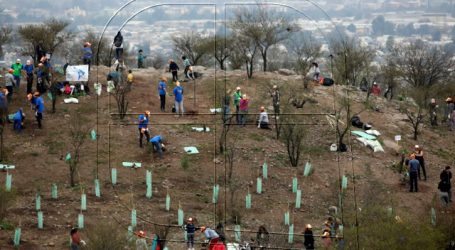 Renca se une a “Race to Zero” para frenar el cambio climático
