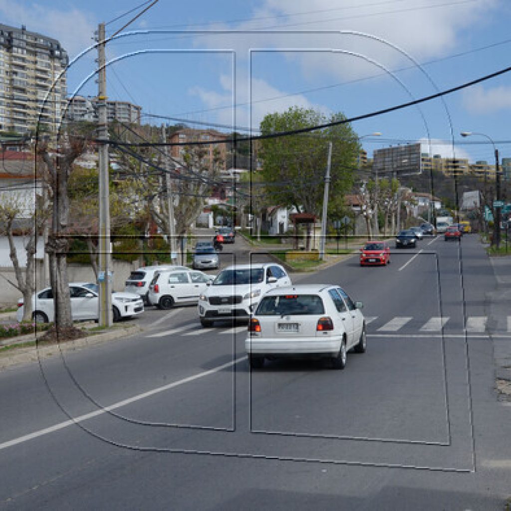 Viña del Mar insistirá en instalación de semáforo en cruce de Agua Santa