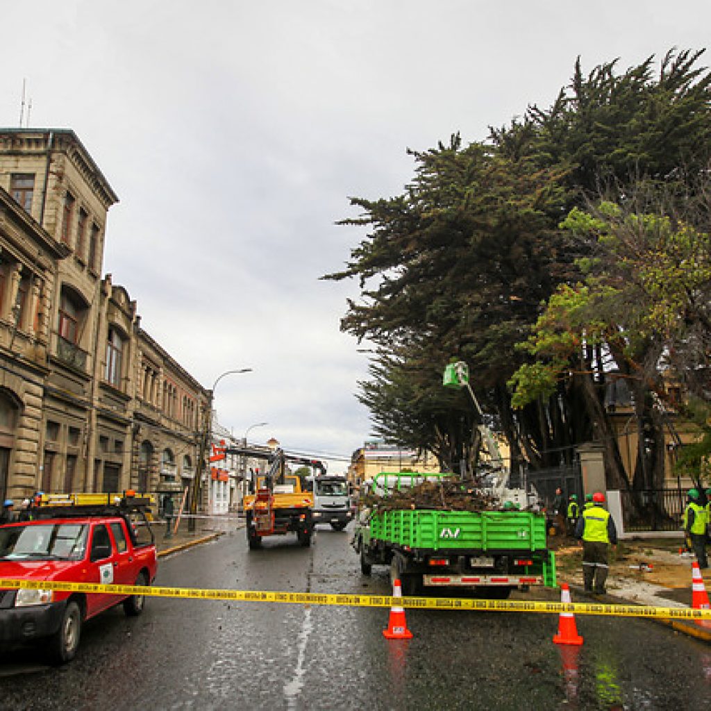 Mantienen Alerta Amarilla para la provincia de Magallanes por fuertes vientos