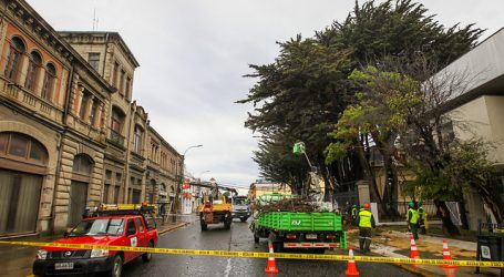 Mantienen Alerta Amarilla para la provincia de Magallanes por fuertes vientos
