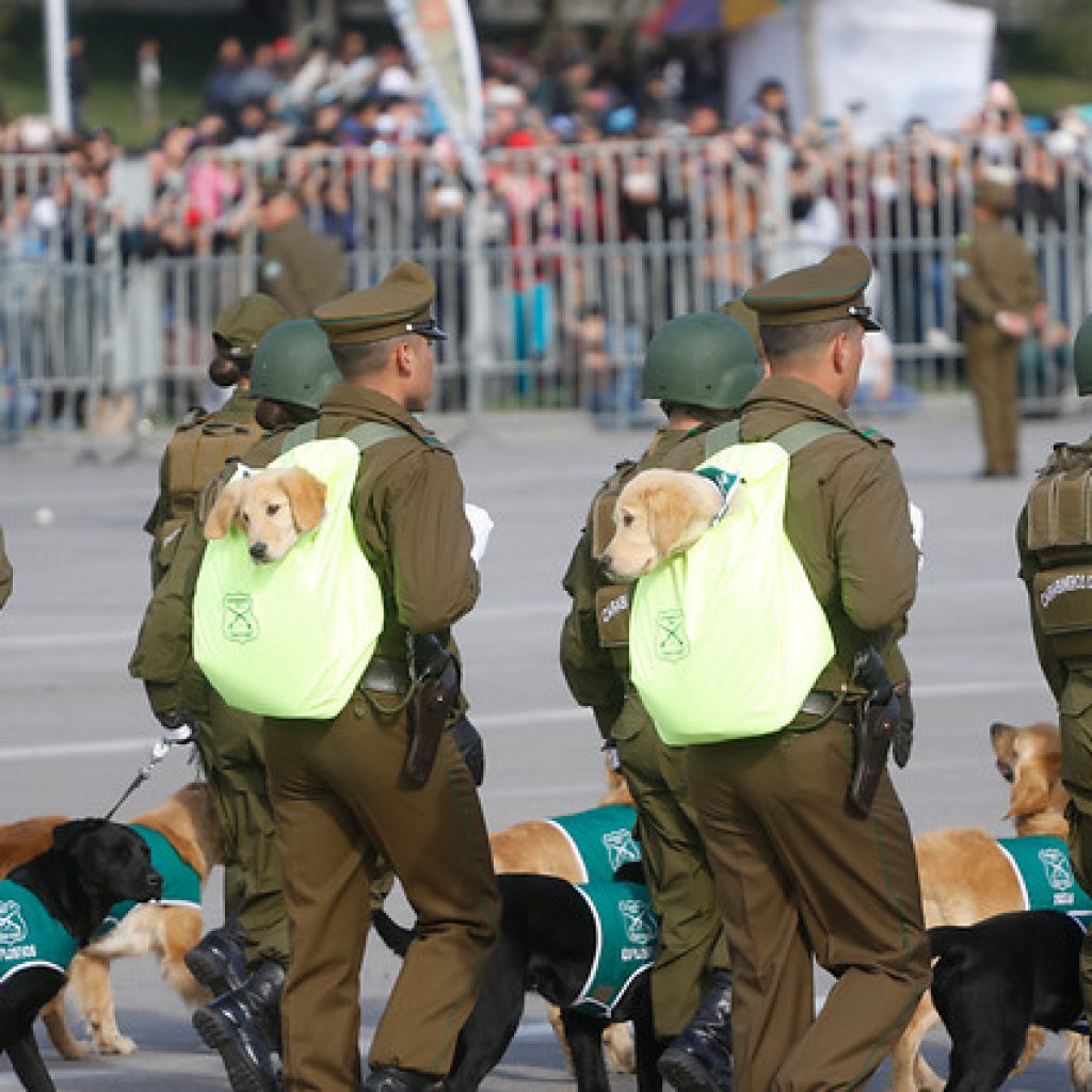 Gobierno confirma realización de la Parada Militar en Parque O’Higgins