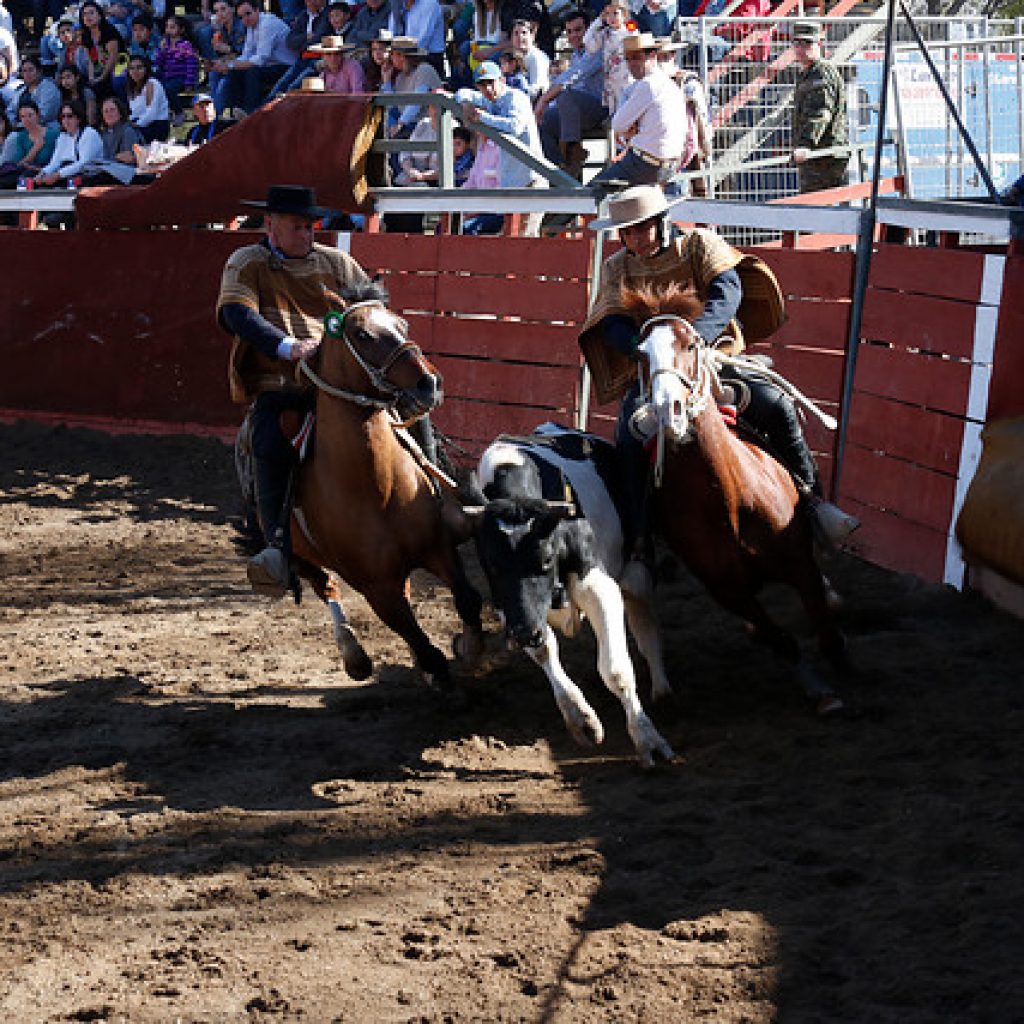 Proponen redirigir fondos del rodeo para financiar recuperación económica