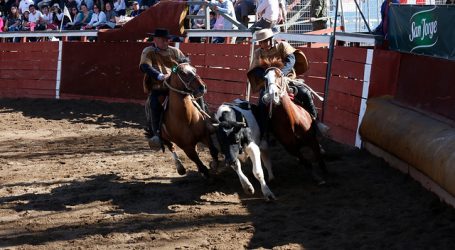 Proponen redirigir fondos del rodeo para financiar recuperación económica