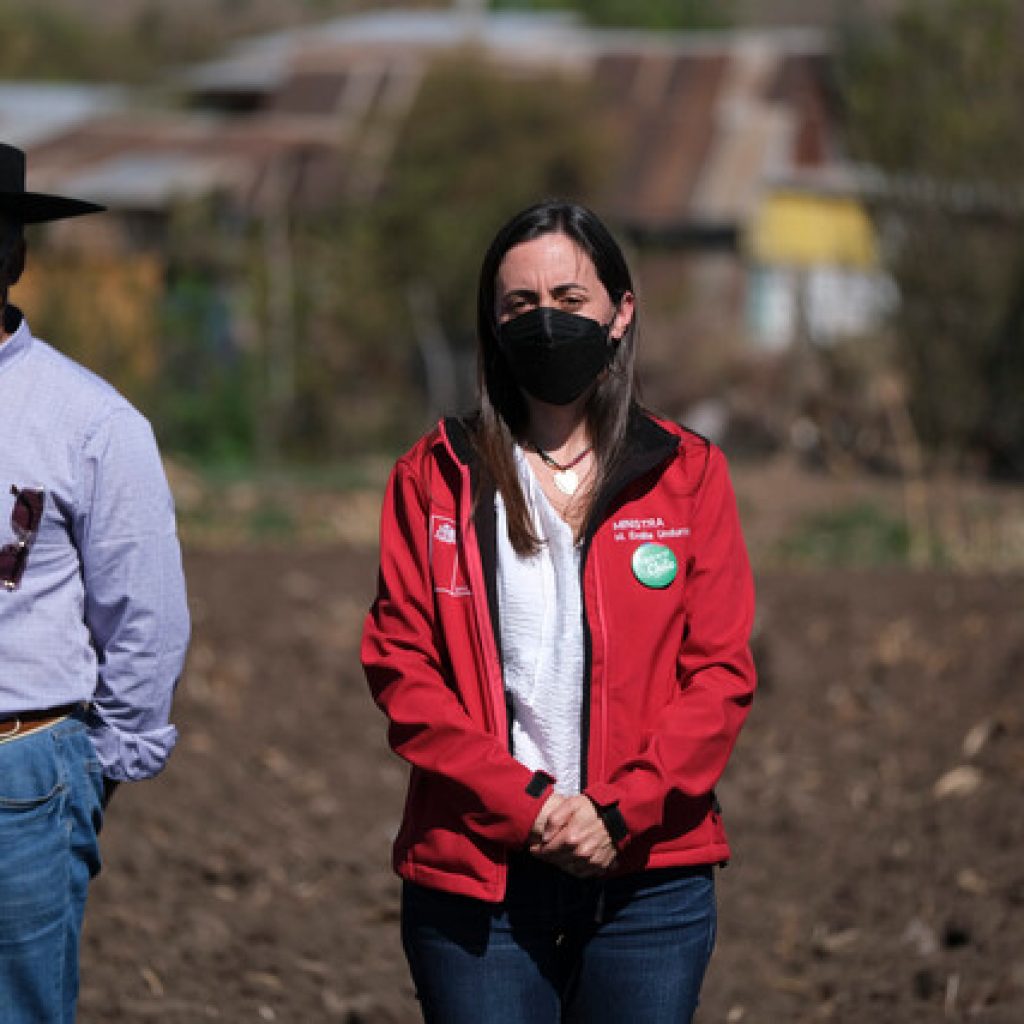 Gobierno declara emergencia agrícola en regiones de Biobío y Ñuble
