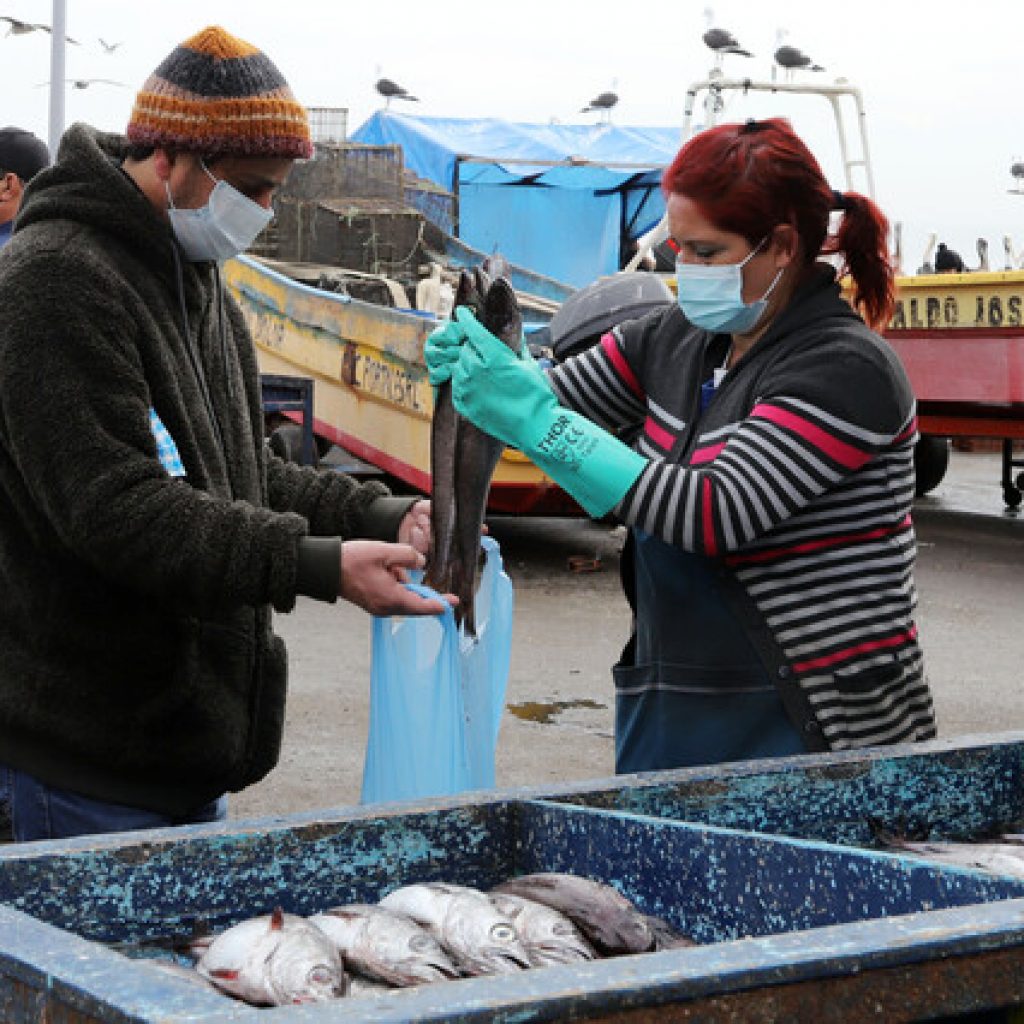 Este miércoles comienza la veda de Merluza Común para todo Chile
