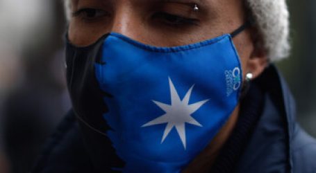 Fiscalía pide formalizar a Rodrigo Rojas Vade por desórdenes públicos