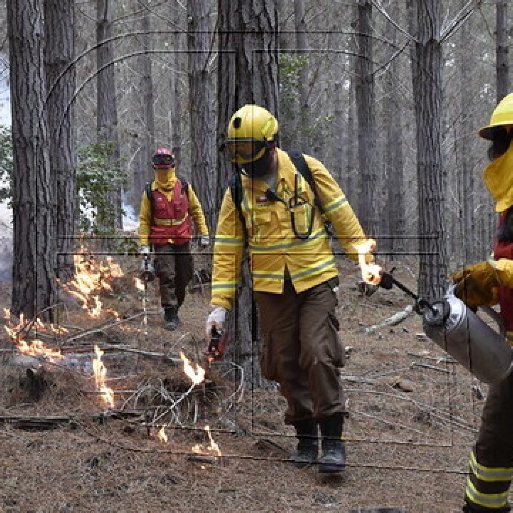 Personal de CONAF usará fuego para prevenir incendios forestales de magnitud