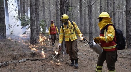 Personal de CONAF usará fuego para prevenir incendios forestales de magnitud