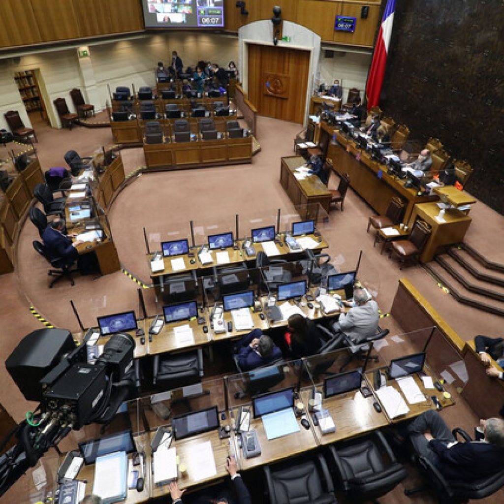 Luz verde a idea de legislar del proyecto que restablece el voto obligatorio