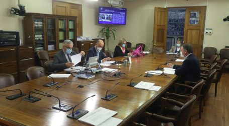 Mañana continuará votación en particular del matrimonio igualitario