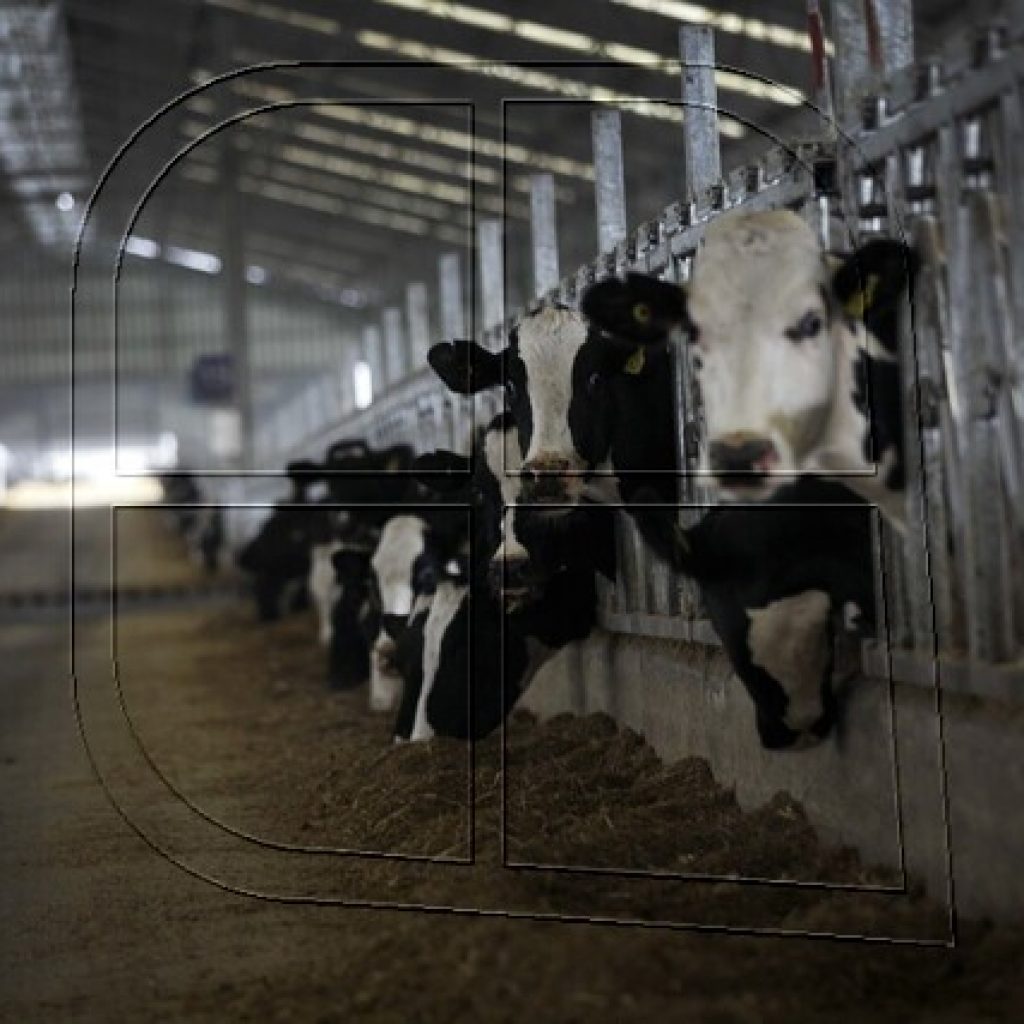 Biobío: Gobierno lanza proyecto “Banco ADN Animal” para prevenir el abigeato