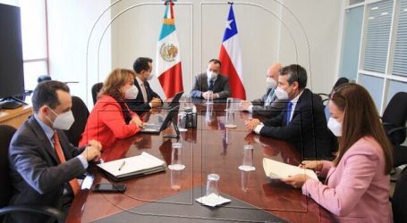 Subsecretario Rodrigo Yáñez participa en la Celac