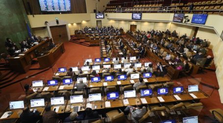 Cámara de Diputados rechaza proyecto que prohíbe carreras de perros