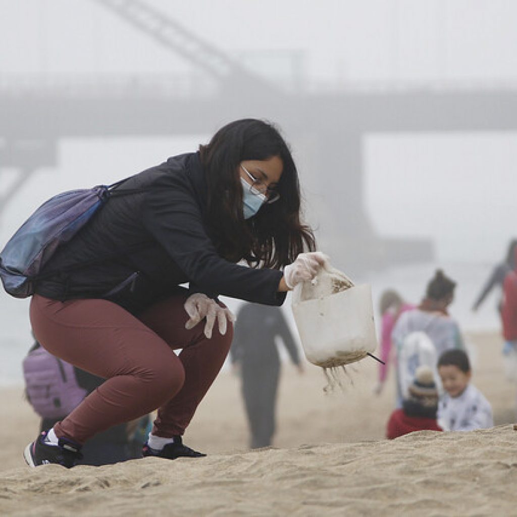 Viña del Mar: Municipio y Armada realizan operativo de limpieza de playas