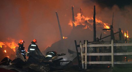 Investigan incendio que consumió cabaña en la comuna de Contulmo