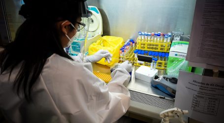 Región de Coquimbo registra 81 casos nuevos de Covid-19