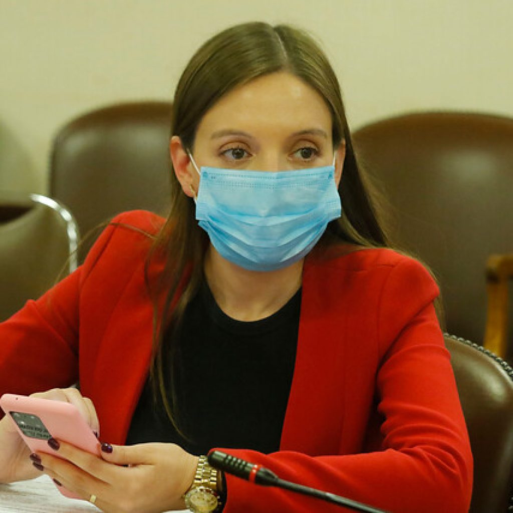 Flores llamó al Senado a tramitar rápidamente la Ley Corta de Pensiones