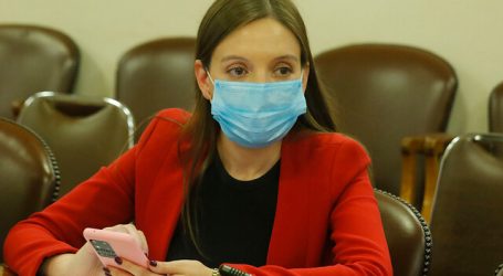 Flores llamó al Senado a tramitar rápidamente la Ley Corta de Pensiones