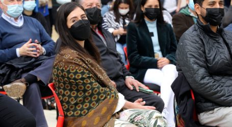 En cinco sectores de Viña se realizarán encuentros territoriales constituyentes