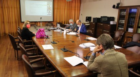 Comisión de la Cámara despacha a Sala el matrimonio igualitario