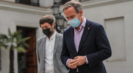 Alessandri lamentó que el proyecto de Ley Nain  se rechazara en la Cámara