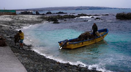 Senadores piden declarar Punta de Choros como área marina protegida