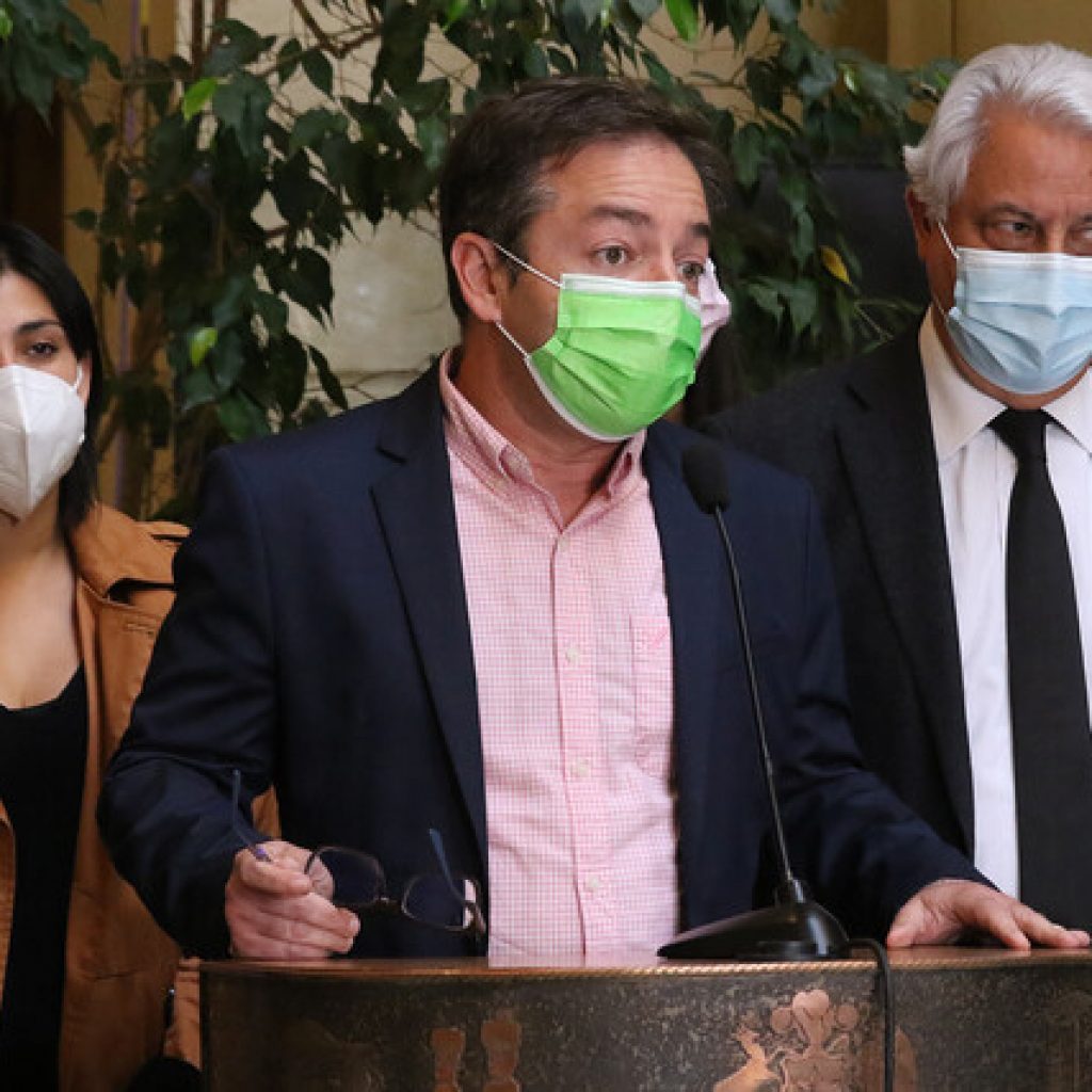 Diputado Silber lamentó apoyo de Maya Fernández a Gabriel Boric