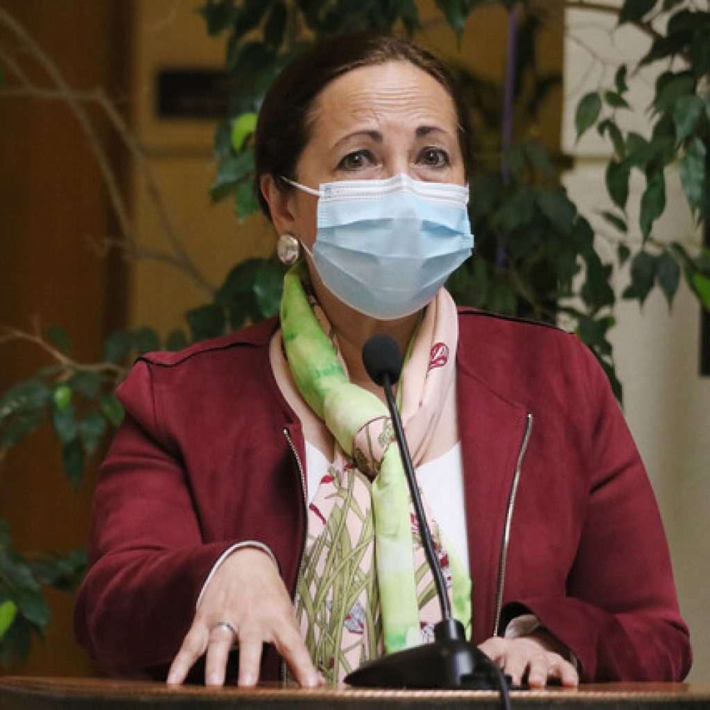 Sepúlveda pedirá a FNE estudio sobre precios de canasta familiar