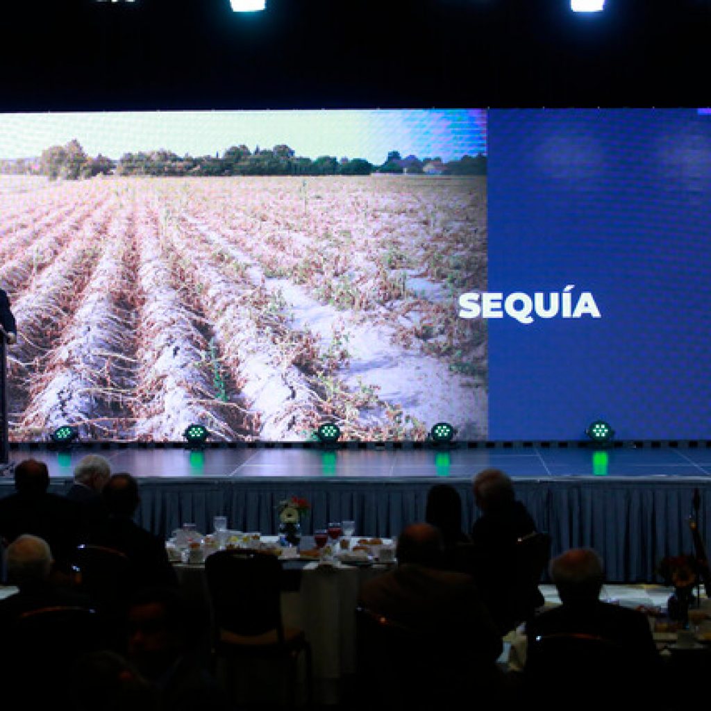 Presidente Piñera destaca rol del sector agropecuario en la pandemia