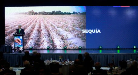 Presidente Piñera destaca rol del sector agropecuario en la pandemia