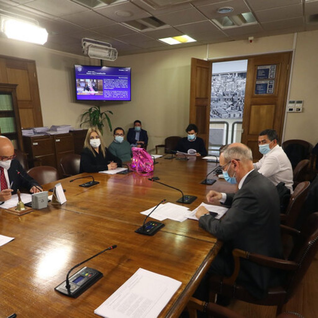 Matrimonio Igualitario: Comisión de Constitución despachó proyecto de ley