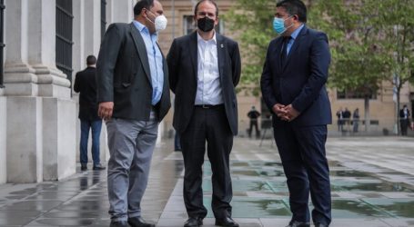 Díaz invita a Piñera a abordar todos los problemas y no sólo de orden público