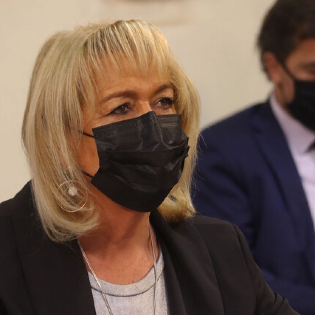 Troncoso solicita extender IFE Laboral hasta marzo en sector agrícola y turismo