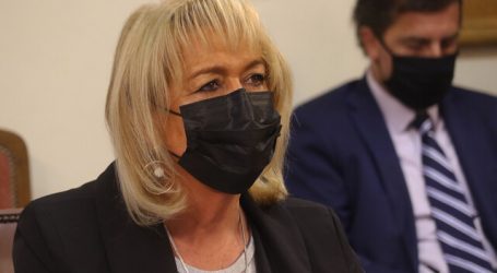 Troncoso solicita extender IFE Laboral hasta marzo en sector agrícola y turismo