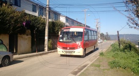 Transportes incorpora dos nuevos recorridos de buses en el Gran Valparaíso