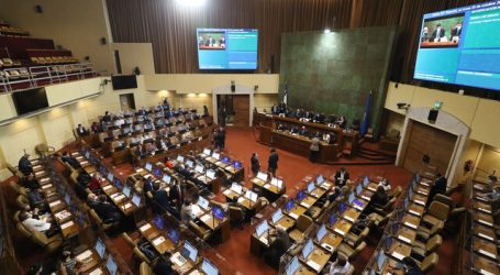 Comenzó interpelación al ministro Delgado en la Cámara de Diputados