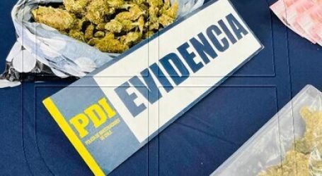 PDI de Arica incautó 27 kilos de droga en cuatro inmuebles de la comuna